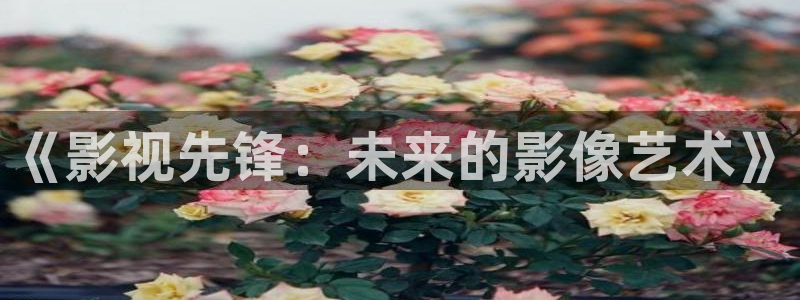 理论电影宅急看：《影视先锋：未来的影像艺术》