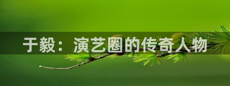 手机免费理论电影：于毅：演艺圈的传奇人物