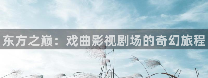999理论电影网：东方之巅：戏曲影视剧场的奇幻旅程