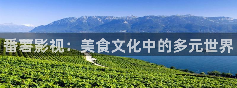 6080新视觉观影理论：番薯影视：美食文化中的多元世界