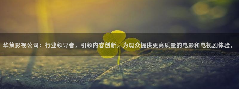 韩国理论电影妈妈的朋友：华策影视公司：行业领导者，引领内容创新，为观众提供更高质量的电影和电视剧体验。