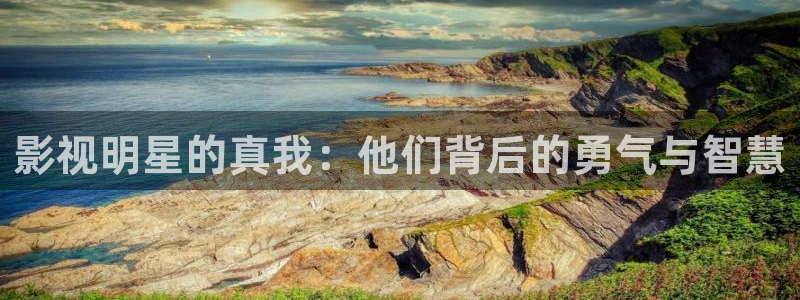 免费视频网站观看麻豆理论片：影视明星的真我：他们背后的勇气与智慧