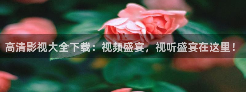 6080yy理论电影在线看：高清影视大全下载：视频盛宴，视听盛宴在这里！
