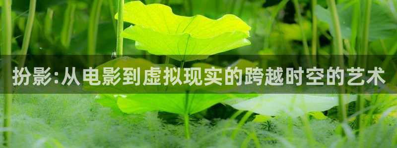 理论片免费网站：扮影:从电影到虚拟现实的跨越时空的艺术