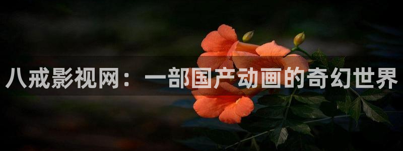 老子影院在线理论片：八戒影视网：一部国产动画的奇幻世界
