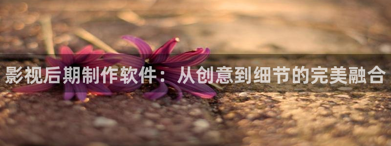 97影院九七理论片：影视后期制作软件：从创意到细节的完美融合