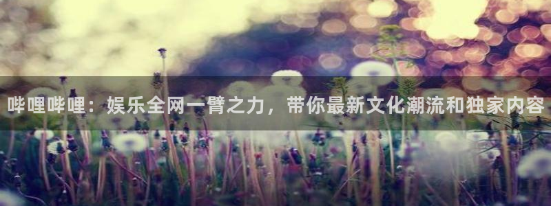 欧美理论片网：哔哩哔哩：娱乐全网一臂之力，带你最新文化潮流和独家内容
