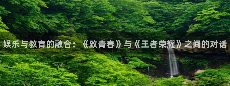 欧洲理论影片：娱乐与教育的融合：《致青春》与《王者荣耀》之间的对话