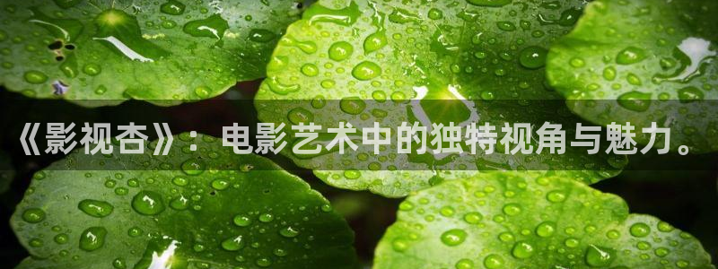 6080新视觉yy理论片：《影视杏》：电影艺术中的独特视角与魅力。